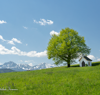 fileadmin/roha/images_galerie/orte_landschaft/Saaldorf/KKKM-SAALD-SILL-0014-D-roha-Kapelle-Saaldorf-Sillersdorf-Hochstaufen-Zwiesel_01.png