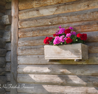 fileadmin/roha/images_galerie/Baum-natur-garten/Haus-Blumenschmuck-Deko/LANDA-ALM-0006-D-roha-Landart-Alm-Huette-Holz-Blumenschmuck-Geranien-Neukirchen-Koehler.png