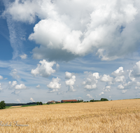 fileadmin/roha/images_galerie/Landwirtschaft/LANDS-TACH-COL-0011-D-roha-Landschaft-Tachinger-See-St-Coloman-Getreidefeld.png