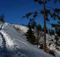 fileadmin/roha/images_galerie/Winter/WEGE-WINT-TEISB-0006-D-roha-Weg-Winter-Teisenberg.png