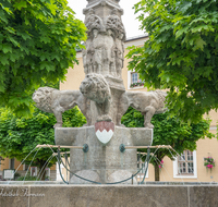 fileadmin/roha/images_galerie/orte_landschaft/Bad_Reichenhall/BAD-REI-FUSSG-0006-01-3-D-roha-Bad-Reichenhall-Wittelsbacher-Brunnen-Wasser-Rathausplatz.png