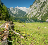 fileadmin/roha/images_galerie/orte_landschaft/Berchtesgaden/Koenigssee/BGD-KOE-OBERS-0033-D-roha-Berchtesgaden-Obersee-Koenigssee-Wasser-Fischunkelalm.png