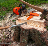 fileadmin/roha/images_galerie/Landwirtschaft/Forst-Holzknecht/HOLZKNE-0004-2018-1348-02-D-roha-Holzknecht-Teisenberg-Baum-Fichte.png