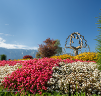 fileadmin/roha/images_galerie/orte_landschaft/Salzburg/Gaisberg-Flughafen-Wals/SA-WALS-BIRN-0055-D-roha-Salzburg-Wals-Birnbaum-Skulptur.png