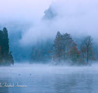 fileadmin/roha/images_galerie/orte_landschaft/Berchtesgaden/Koenigssee/STIM-KOE-0002-roha-Stimmung-Koenigsee-Nebel-Herbst-Wasser-Seelaende.png