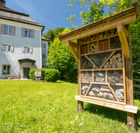 fileadmin/roha/images_galerie/orte_landschaft/Teisendorf/Achthal/TEI-ACHT-0016-0-20-D-roha-Teisendorf-Achthal-Museum-Bienenhotel.png