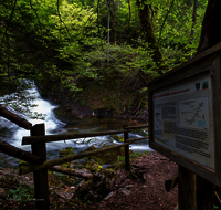 fileadmin/roha/images_galerie/orte_landschaft/Berchtesgaden/Ramsau/WAS-WILDB-RA-SCHW-LO-0007-D-roha-Wasser-Wildbach-Schwarzbachloch-Ramsau..png