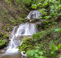 fileadmin/roha/images_galerie/orte_landschaft/Teisendorf/WEGE-TEIS-VERS-WAS-FA-0007-D-roha-Weg-Teisendorf-Verschoenerungsweg-Wald-Wasserfall.png