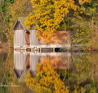 fileadmin/roha/images_galerie/orte_landschaft/Anger/Hoeglwoerth/AN-HOE-HERB-0001-D-roha-Anger-Hoeglwoerth-See-Herbst-Wald-Stadel-Bootshuette.png