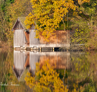 fileadmin/roha/images_galerie/orte_landschaft/Anger/Hoeglwoerth/AN-HOE-HERB-0001-D-roha-Anger-Hoeglwoerth-See-Herbst-Wald-Stadel-Bootshuette.png