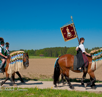 fileadmin/roha/images_galerie/brauchtum/Leonhardiritt/Holzhausen_01/BR-PFRI-HOLZ-0079-D-roha-Brauchtum-Pferdeumritt-Holzhausen-Teisendorf-Leonhardiritt-Pferd-Reiter.png