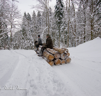 fileadmin/roha/images_galerie/Landwirtschaft/Forst-Holzknecht/HOLZKNE-HAM-PFERD-0007-D-roha-Holzknecht-Pferd-Schlitten-Winter-Siegsdorf-Hammer-Winterzug.png