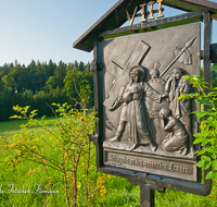 fileadmin/roha/images_galerie/kirche_religion/Ainring-Kreuzweg/KKKM-AINR-KR-08-0054-13-D-roha-Kreuzweg-Ainring-Ulrichshoegl-Heckenrose.png