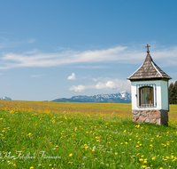 fileadmin/roha/images_galerie/kirche_religion/Surberg/KKKM-SURB-0005-D-roha-Bildstock-Surberg-Lauter-Blumenwiese-Hochfelln.png