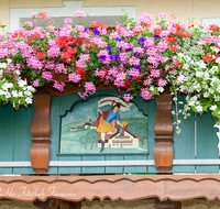 fileadmin/roha/images_galerie/Baum-natur-garten/Haus-Blumenschmuck-Deko/LANDA-BLUMENSCHM-OED-0002-D-roha-Landart-Blumenschmuck-Bauernhaus-Balkon-hl-Florian-Oed-Teisendorf.png