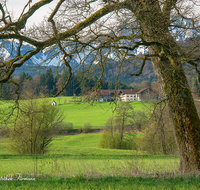 fileadmin/roha/images_galerie/orte_landschaft/Teisendorf/IN-LANDS-Teisendorf/LANDS-TEIS-ALM-0028-D-roha-Landschaft-Teisendorf-Bauernhof-Almeding-Hochstaufen-Zwiesel.png