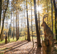 fileadmin/roha/images_galerie/orte_landschaft/Laufen/Osinger-Wald/LAUF-OSI-WA-0001-1050-D-R-roha-Laufen-Osinger-Wald-Lehrpfad-Schnitzerei.png