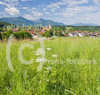 fileadmin/roha/images_galerie/orte_landschaft/Vachendorf/VACH-0009-D-roha-Vachendorf-Chiemgauer-Berge-Hochfelln-Hochgern.jpg