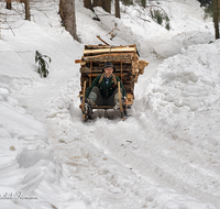 fileadmin/roha/images_galerie/Landwirtschaft/Forst-Holzknecht/HOLZKNE-HAM-2019-1419-01-D-roha-Holzknecht-Schlitten-Winter-Siegsdorf-Hammer-Winterzug.png