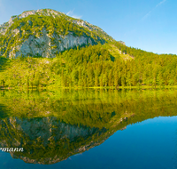 fileadmin/roha/images_galerie/orte_landschaft/Inzell/INZ-FRILL-0017-D-PSS-roha-Inzell-Frillensee-Zwiesel-Spiegelung-Wasser.png