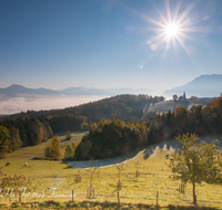 fileadmin/roha/images_galerie/orte_landschaft/Piding/PID-JOHAN-0008-D-roha-Piding-Johannishoegl-Sonnenaufgang-Herbst-Kuh-Weide-Nebel.png