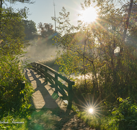 fileadmin/roha/images_galerie/orte_landschaft/Anger/Hoeglwoerth/WEGE-HOEGLW-0023-D-roha-Steg-Weg-Hoeglwoerther-See-Herbst-Stimmung.png