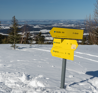 fileadmin/roha/images_galerie/wege/WEGE-WINT-TEISB-0001-D-roha-Weg-Winter-Teisenberg-Schnee-Wald-Schild.png