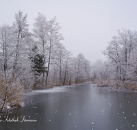 fileadmin/roha/images_galerie/Winter/WINT-AN-HOEGLW-0002-1-D-roha-Winter-Anger-Hoeglwoerth-See-Eis-Rauhreif.png