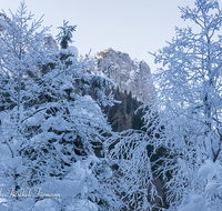 fileadmin/roha/images_galerie/Winter/WINT-FRILLS-0004-D-roha-Winter-Schnee-Inzell-Frillensee-Wald-Gipfel.png