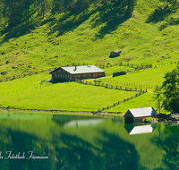 fileadmin/roha/images_galerie/orte_landschaft/Berchtesgaden/Koenigssee/BGD-KOE-OBERS-0018-D-roha-Berchtesgaden-Obersee-Koenigsee-Wasser-Fischunkl-Alm.png