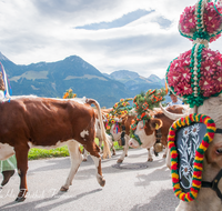 fileadmin/roha/images_galerie/brauchtum/Almabtrieb/Almabtrieb-Koenigssee/BR-ALMAB-BGD-2015-1225-03-D-roha-Brauchtum-Almabtrieb-Koenigssee-Salet-Schoenau-Fuikl-Kuh-Glocke.png