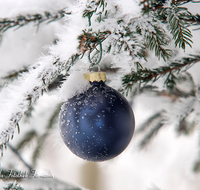 fileadmin/roha/images_galerie/brauchtum/Weihnachten/BR-WEIH-SCHMUCK-WI-0001-D-roha-Brauchtum-Weihnachten-Schmuck-Christbaum-Kugel-Winter-Schnee-rot.png