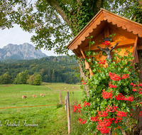 fileadmin/roha/images_galerie/kirche_religion/Anger/KKKM-ANG-AUF-0001-4-D-roha-Wegkreuz-Anger-Aufham-Schneewinkl-Unterberg-Kuh-Weide-Hochstaufen.png