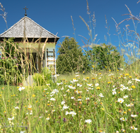 fileadmin/roha/images_galerie/Baum-natur-garten/Natur-Wildblumen-Landschaft/KKKM-ANG-ZELLB-0008-D-roha-Kapelle-Anger-Zellberg-Blumenwiese.png