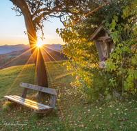 fileadmin/roha/images_galerie/kirche_religion/Neukirchen/KKKM-NEUK-HOCHH-SO-AU-0001-0702-01-D-roha-Wegkreuz-Neukirchen-Hochhorn.png