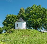 fileadmin/roha/images_galerie/kirche_religion/Petting/KKKM-PETT-0001-02-D-roha-Kapelle-Petting-Blumenwiese-Weg-Gelaender.png