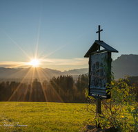 fileadmin/roha/images_galerie/stimmung-Sonne/Sonnenaufgang/SON-AU-AIN-KR-0001-0742-D-M-roha-Sonnenaufgang-Kreuzweg-Ainring.png