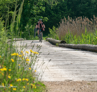 fileadmin/roha/images_galerie/orte_landschaft/Anger/Hoeglwoerth/SPO-E-BIKE-HOEG-0001-1058-03-D-roha-Sport-E-Bike-Anger-Hoeglwoerth-Bruecke.png