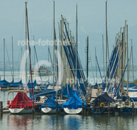 fileadmin/roha/images_galerie/orte_landschaft/Seeon-Seebruck/CHIE-YACHT-SEEBR-0012-D-roha-D-roha-Chiemsee-Yacht-Hafen-Seebruck-Schifffahrt.jpg