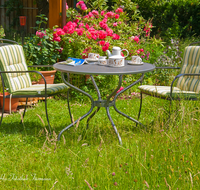 fileadmin/roha/images_galerie/Baum-natur-garten/Haus-Blumenschmuck-Deko/LANDA-GART-KAFFEET-0005-D-roha-Landart-Kaffee-Tisch-Garten-Terrasse.png