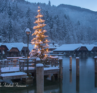 fileadmin/roha/images_galerie/orte_landschaft/Berchtesgaden/Koenigssee/BGD-KOE-SEELAEN-NA-2016-1641-01-D-roha-Berchtesgaden-Koenigssee-Seelaende-Nacht-Christbaum-Winter.png