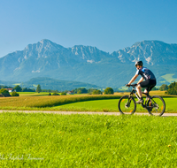 fileadmin/roha/images_galerie/Freizeit-Sport/Mountainbike-Radfahren/SPO-MOUN-ABTS-0023-D-roha-Sport-Mountainbike-Saaldorf-Abtsdorf-Hochstaufen-Zwiesel-Panorama.png