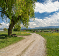 fileadmin/roha/images_galerie/orte_landschaft/Waging/WAG-SEE-0005-01-1-D-PS-roha-Waginger-See-Bicheln-Untersberg-Weg.png