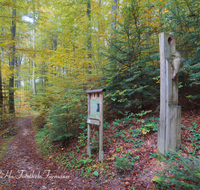 fileadmin/roha/images_galerie/wege/WEGE-TEIS-VERS-0007-D-roha-Weg-Teisendorf-Skulpturenweg-Wald-Herbst-Specht.png