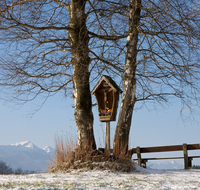 fileadmin/roha/images_galerie/kirche_religion/Neukirchen/KKKM-NEUK-0002-D-roha-Wegkreuz-Neukirchen-Winter-Birke-Baum-Hinterloh.png