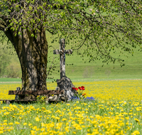 fileadmin/roha/images_galerie/kirche_religion/Teisendorf/Oberteisendorf/KKKM-TEIS-OBERT-0009-08-D-roha-Wegkreuz-Oberteisendorf-Fruehling-Knapper.png