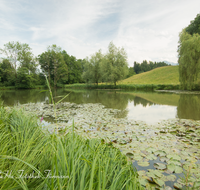 fileadmin/roha/images_galerie/orte_landschaft/Teisendorf/TEI-EISW-0004-D-roha-Teisendorf-Eisweiher-Schwimmbad-Wieninger.png