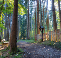 fileadmin/roha/images_galerie/kirche_religion/Teisendorf/KKKM-TEIS-WEG-WALD-0049-D-roha-Wegkreuz-Totenbretter-Wald-Weg-Teisendorf.png