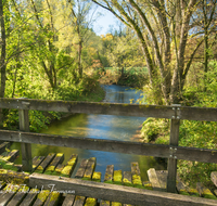 fileadmin/roha/images_galerie/orte_landschaft/Teisendorf/IN-LANDS-Teisendorf/LANDS-TEIS-PUN-SUR-0002-D-roha-Landschaft-Teisendorf-Punschern-Sur-Herbst-Bruecke.png