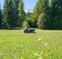 fileadmin/roha/images_galerie/Landwirtschaft/LANDW-MASCH-MAEH-BGD-0016-D-roha-Landwirtschaft-Berchtesgaden-Watzmann-Traktor-Maehen.png